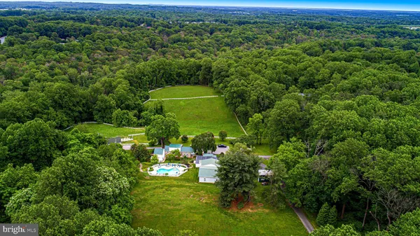 a view of a large yard with large trees