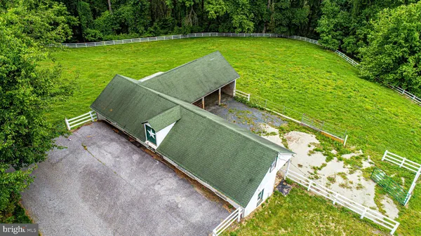 a view of a field with a tree
