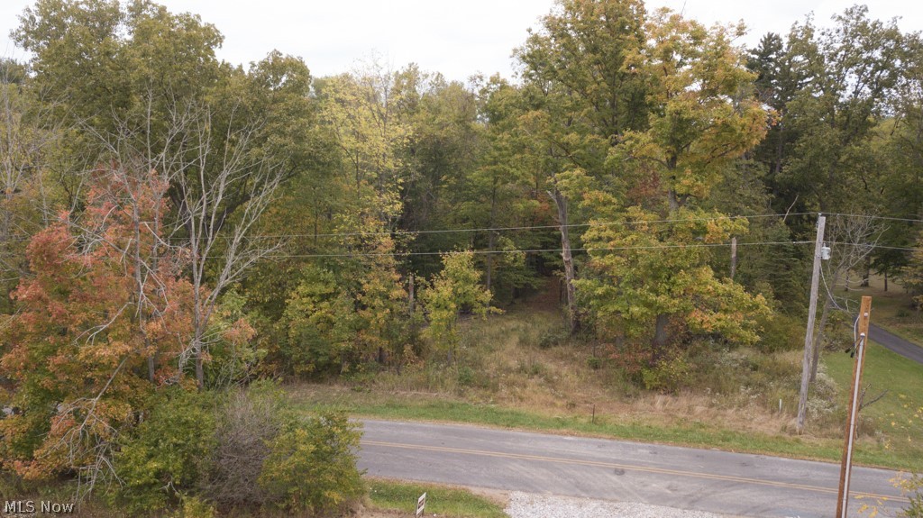 11225 Williams Road Homerville, OH 44235 - Photo 2 of 13 Gallery Image 2