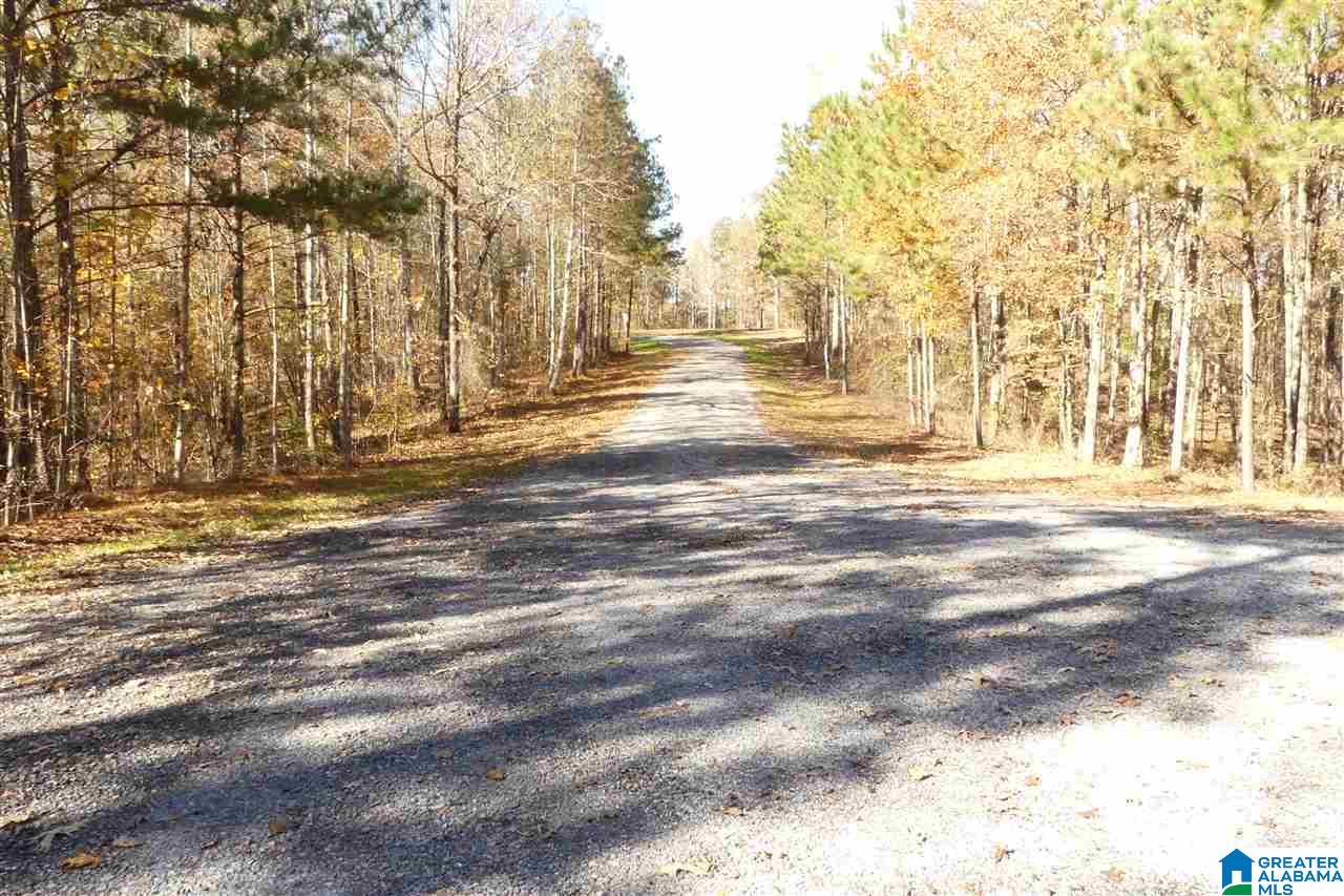 Lot # Jackson Trail, Unit 15 Lineville, AL 36266 - Photo 17 of 17