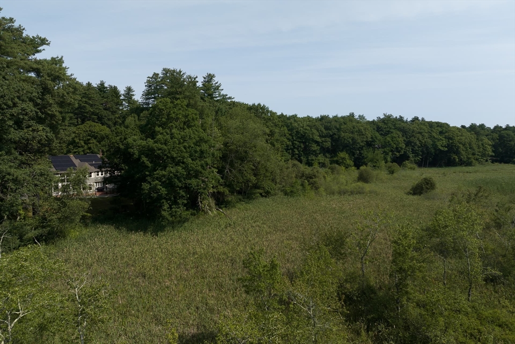 46 Black Burnian Road Weston, MA 02493 - Photo 40 of 42 Gallery Image 40