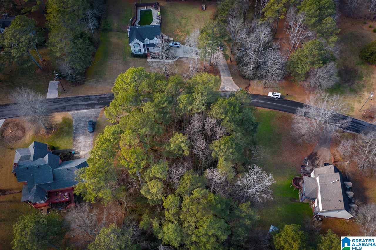 0 Scenic Trail, Unit 1 Oneonta, AL 35121 - Photo 13 of 18
