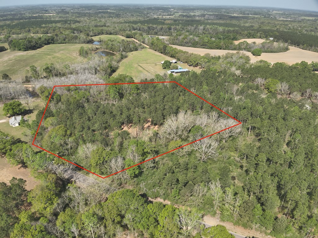 Lot 3 County Road Slocomb, AL 36375 - Photo 3 of 18