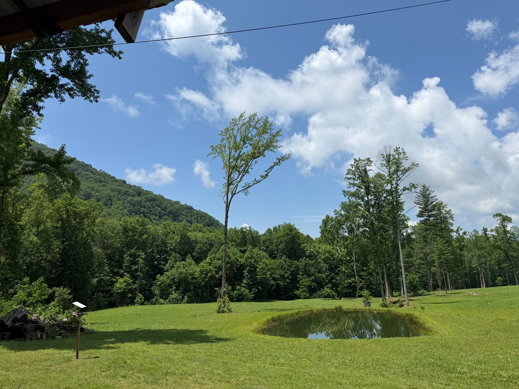 1446 Muskrat Creek Road Hayesville, NC 28904 - Photo 8 of 108