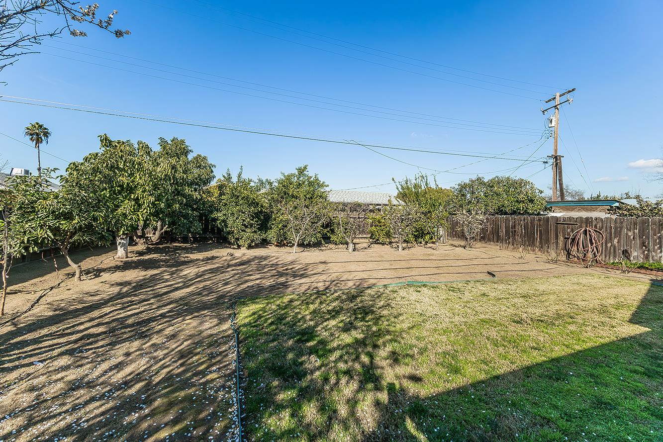 1064 East Early Avenue Reedley, CA 93654 - Photo 27 of 36 a view of a yard