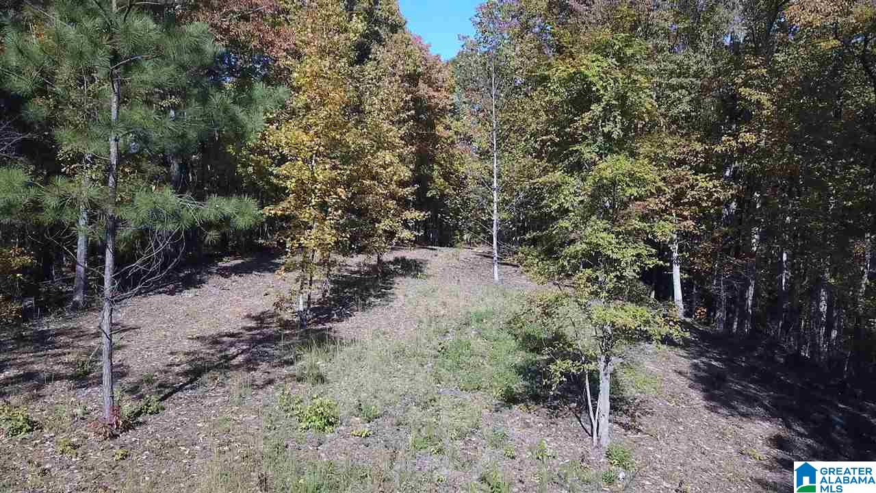 225 Oak Valley Road Springville, AL 35146 - Photo 1 of 8