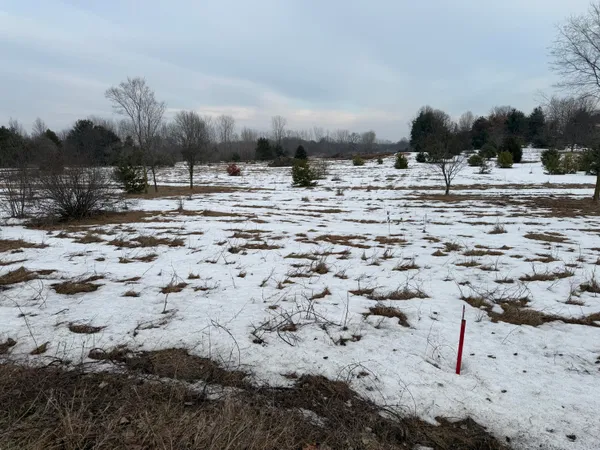 $79,500 | 15680 Tyrone Avenue, Kent City, MI 49330