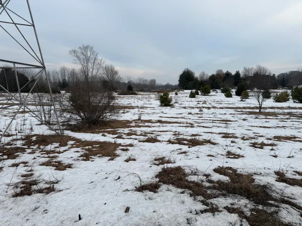 $79,500 | 15680 Tyrone Avenue, Kent City, MI 49330