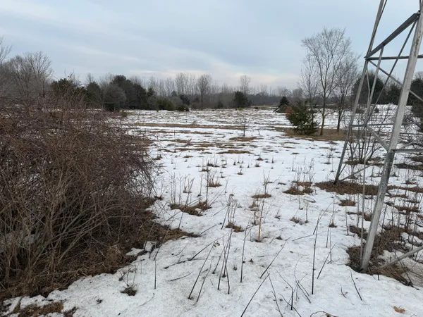 $79,500 | 15680 Tyrone Avenue, Kent City, MI 49330
