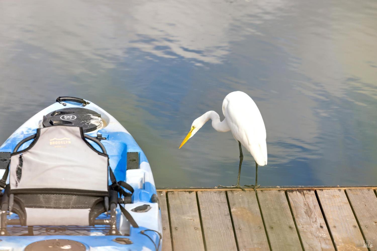 297 Seadrift Road Stinson Beach, CA 94970 - Photo 32 of 68 a picture of a bench in a room