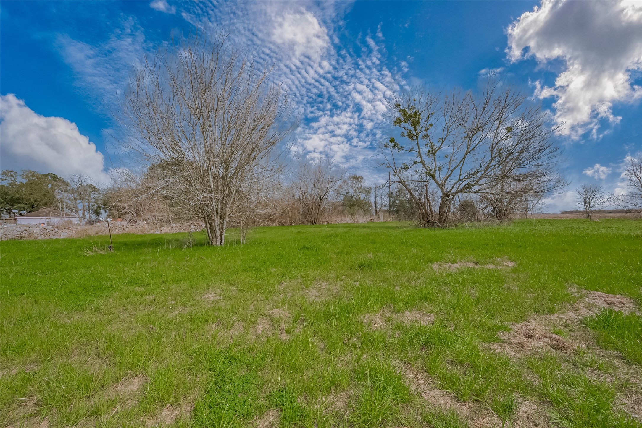 422 FM 360 Road Beasley, TX 77417 - Photo 24 of 25 a view of yard with green space