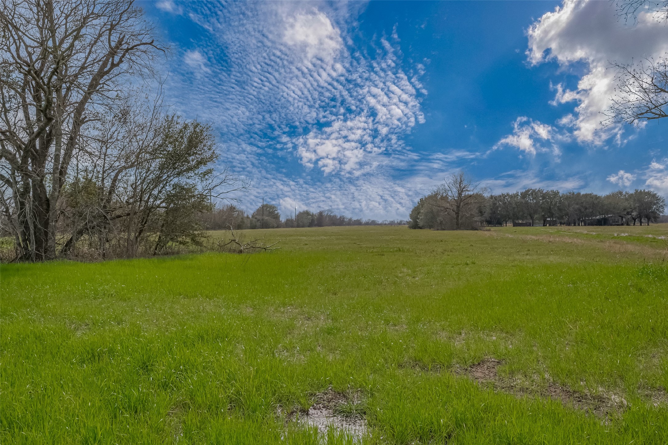 422 FM 360 Road Beasley, TX 77417 - Photo 25 of 25 a view of yard with swimming pool and green space