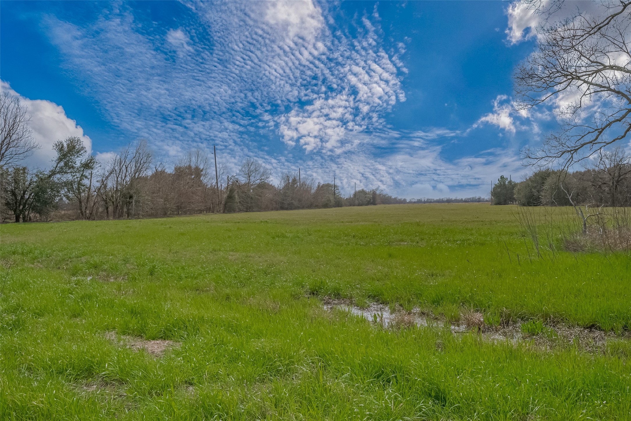 422 FM 360 Road Beasley, TX 77417 - Photo 5 of 25 a view of yard with outdoor space