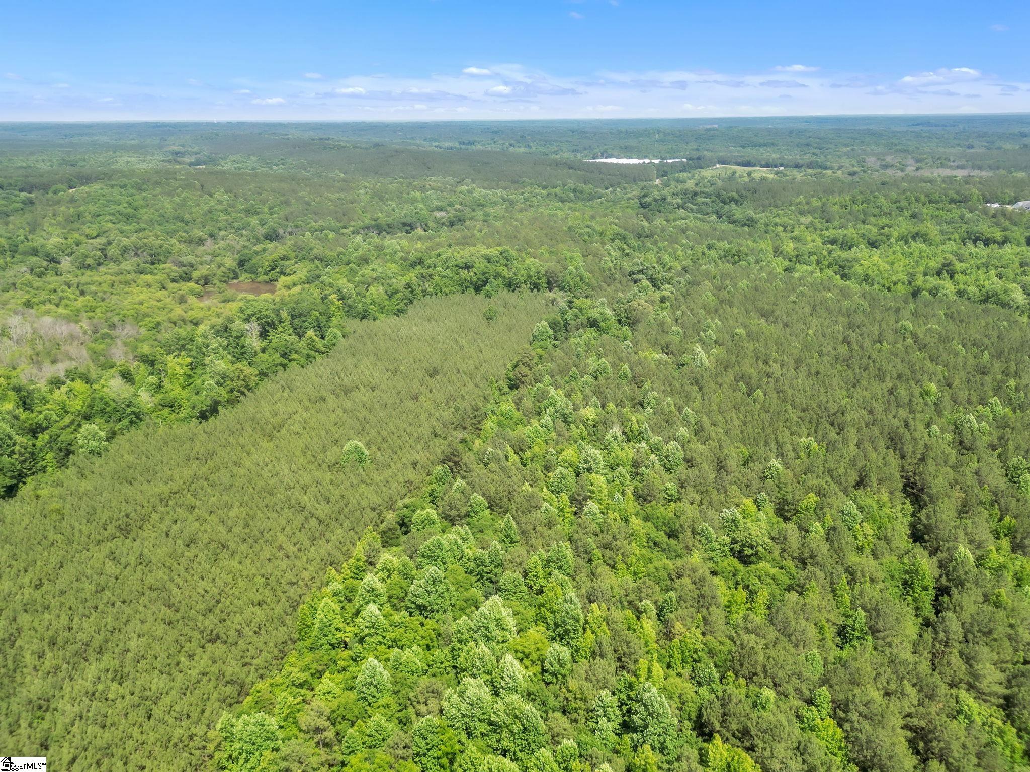 0 Simpson Mill Road Laurens, SC 29360 - Photo 16 of 18 Gallery Image 16