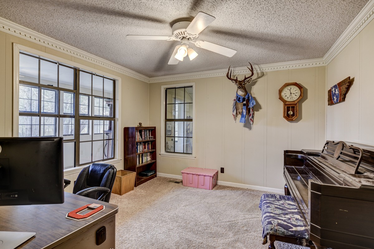 6455 Cox Road College Grove, TN 37046 - Photo 16 of 29 Gallery Image 16