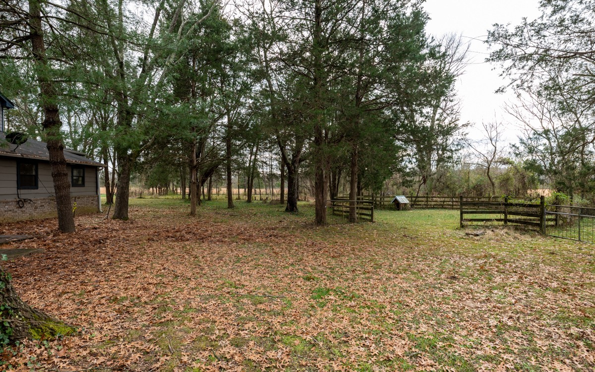 6455 Cox Road College Grove, TN 37046 - Photo 9 of 29 Gallery Image 9