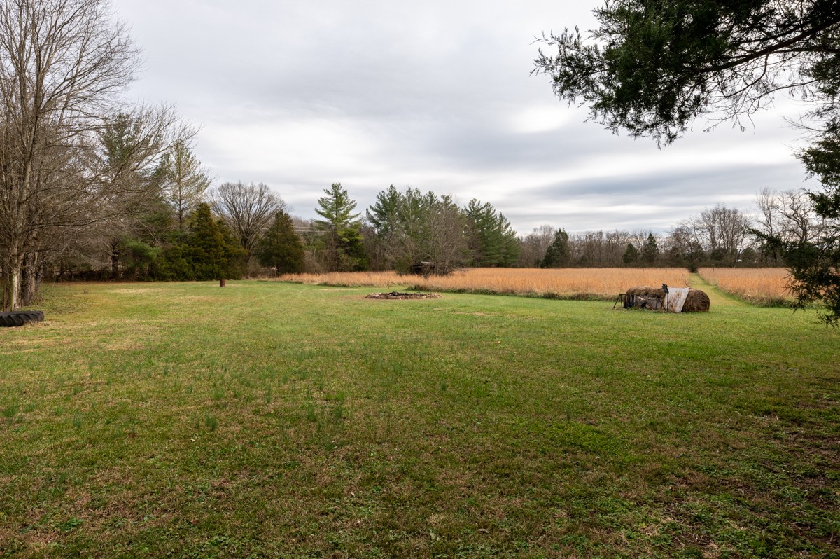6455 Cox Road College Grove, TN 37046 - Photo 10 of 29 Gallery Image 10