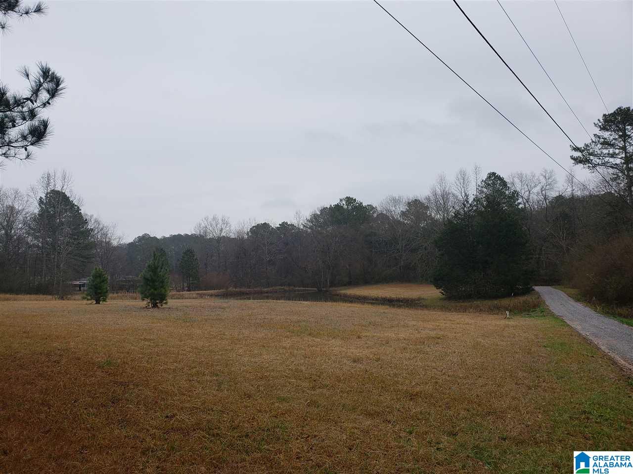 1715 County Road 33 Calera, AL 35040 - Photo 5 of 21