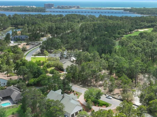 an aerial view of town with residential houses with outdoor space and trees