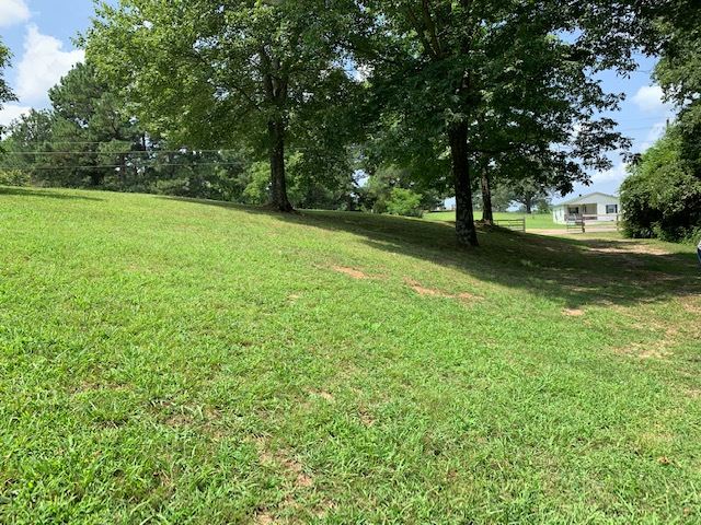 5205 Lagrange Road Somerville, TN 38068 - Photo 9 of 16 Gallery Image 9