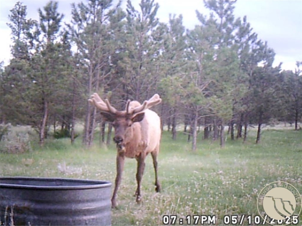 0 Majerus Road Roundup, MT 59072 - Photo 6 of 27 Gallery Image 6