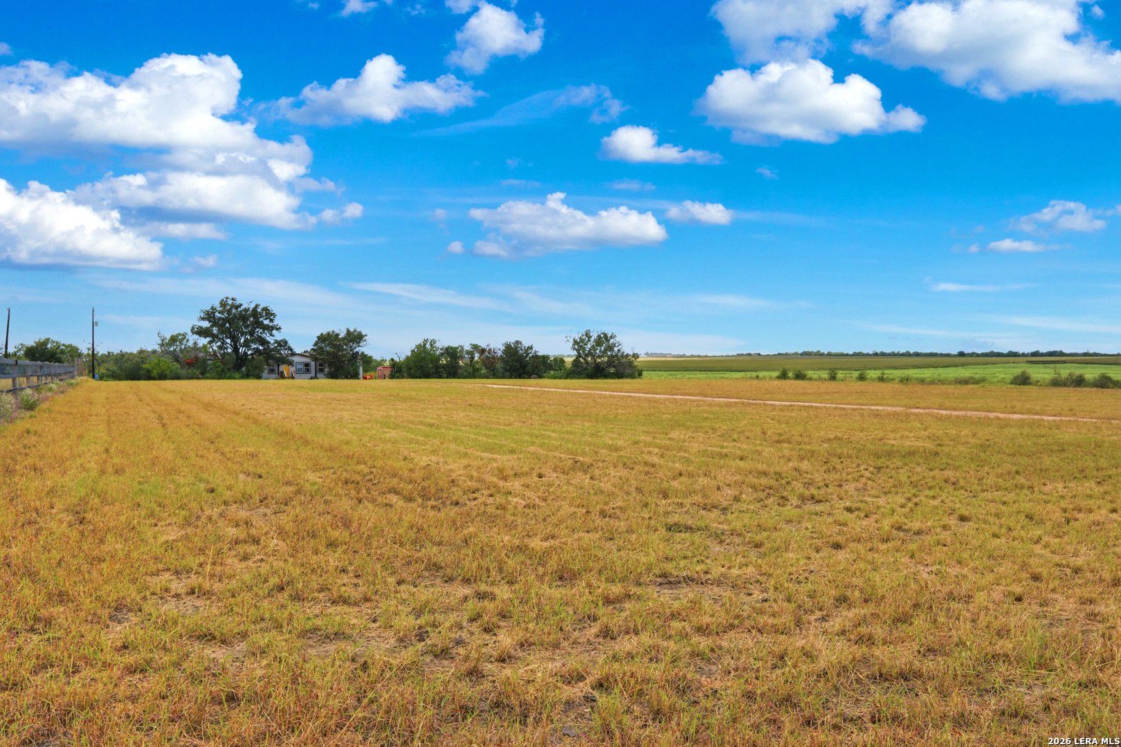 670 Nickerson Farms Road Seguin, TX 78155 - Photo 48 of 50