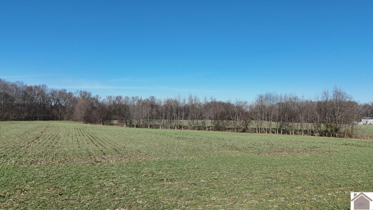 0 Erwin Road Murray, KY 42071 - Photo 19 of 24 Photo 19