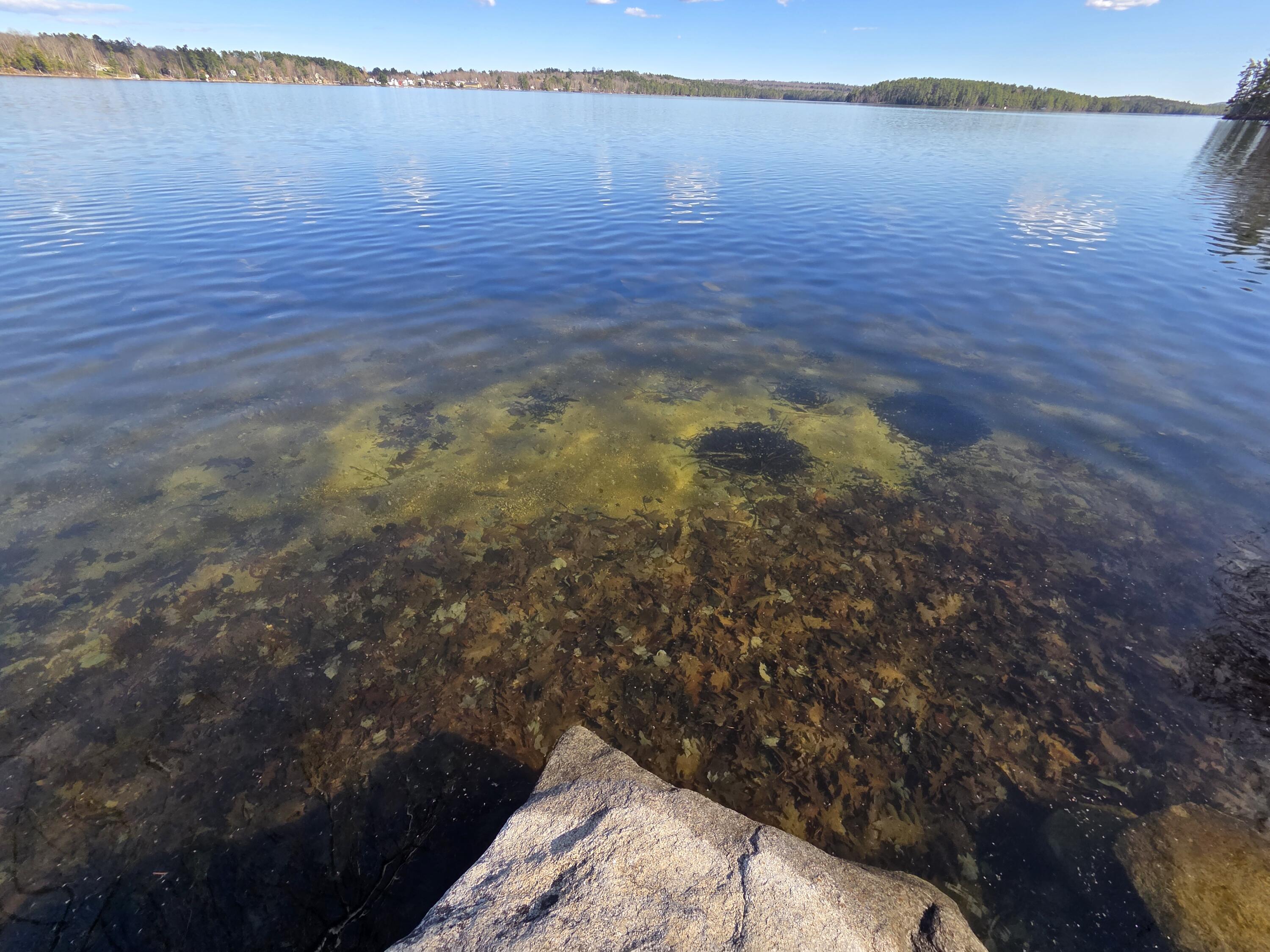 16 South Fawn Point Estates Rome, ME 04963 - Photo 27 of 40 20260427_163553