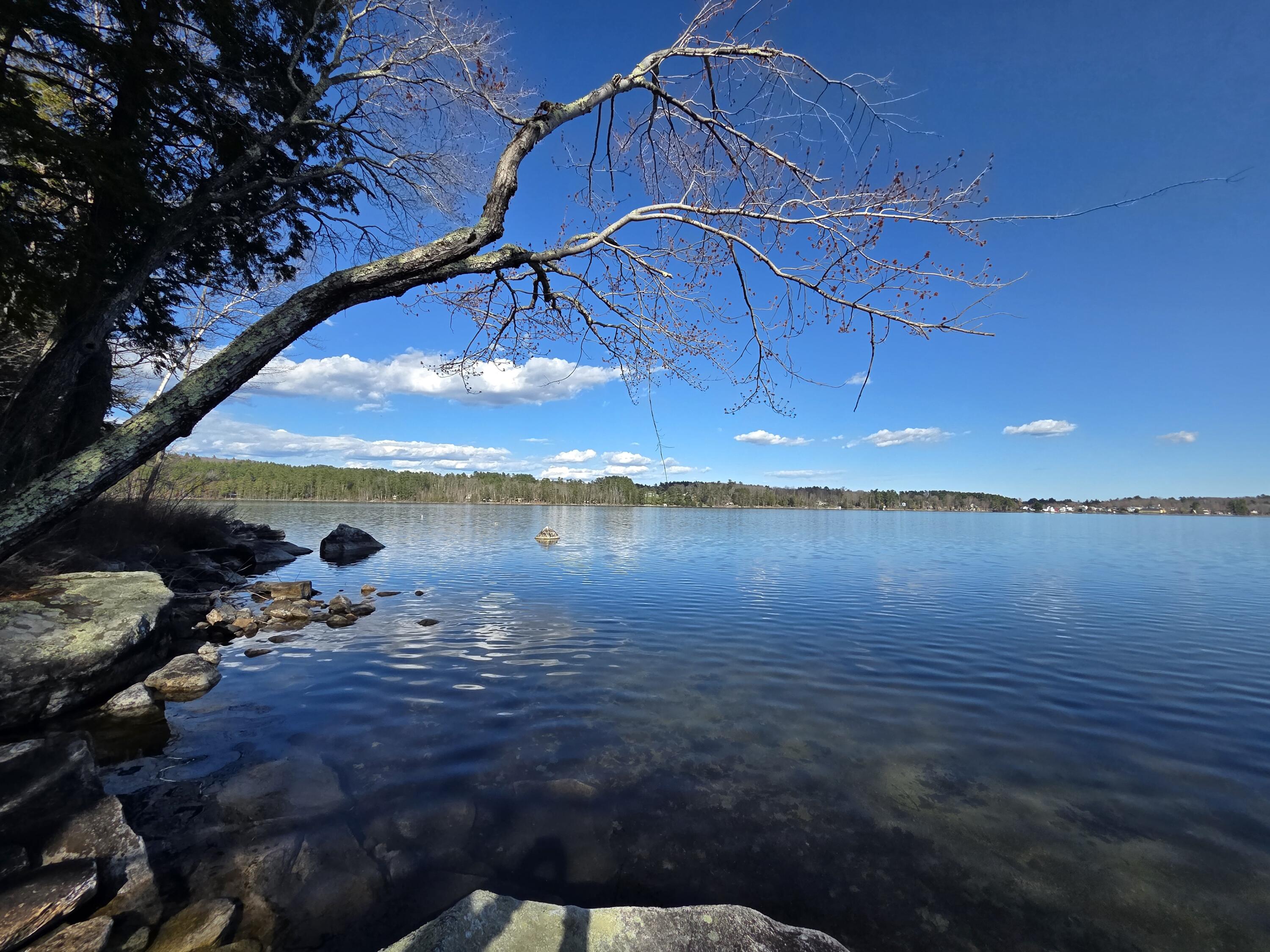 16 South Fawn Point Estates Rome, ME 04963 - Photo 4 of 40 20260427_163537