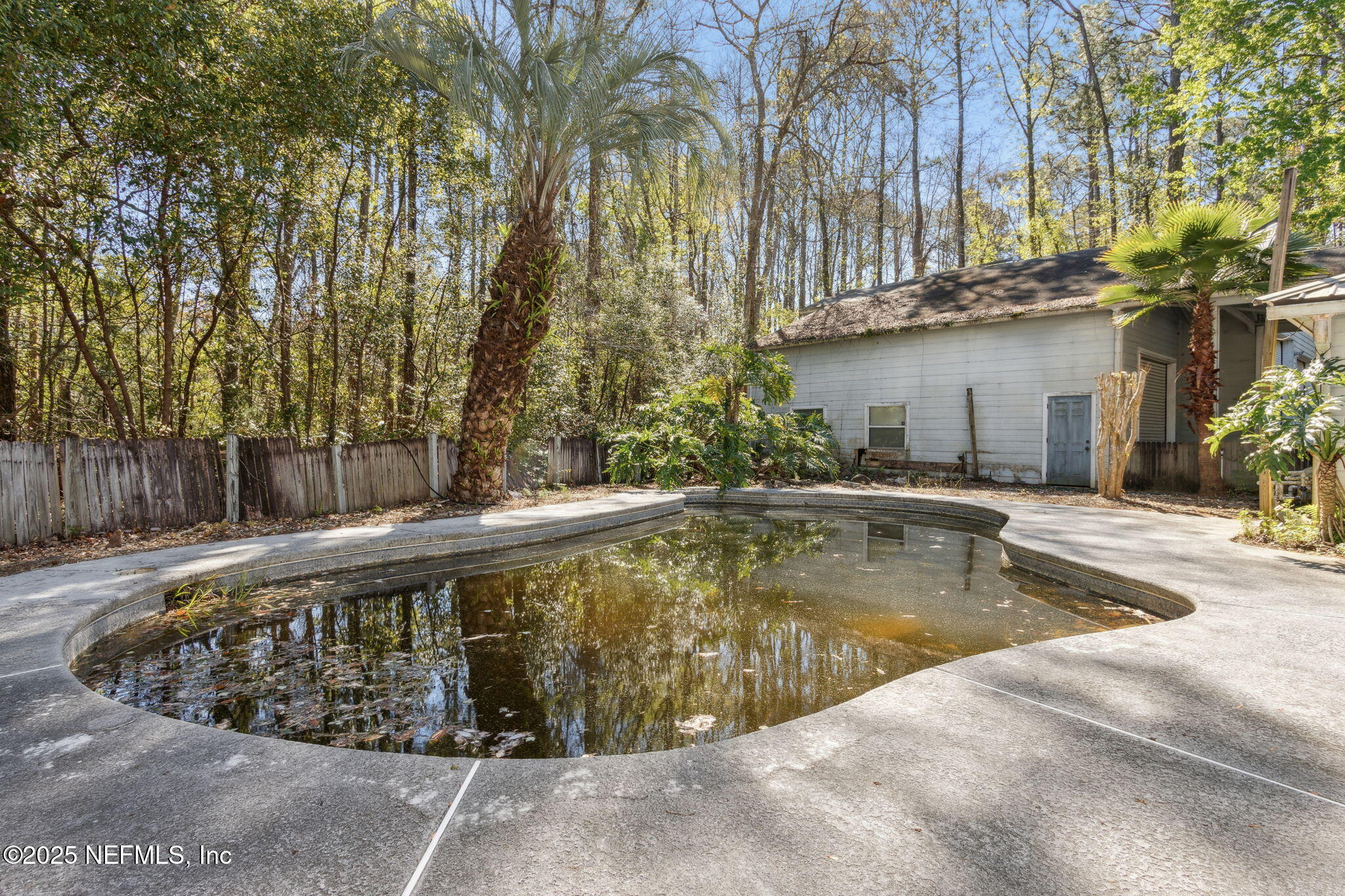 12267 Aladdin Road Jacksonville, FL 32223 - Photo 34 of 50 50-web-or-mls-12267 Aladdin Rd (66 of 73