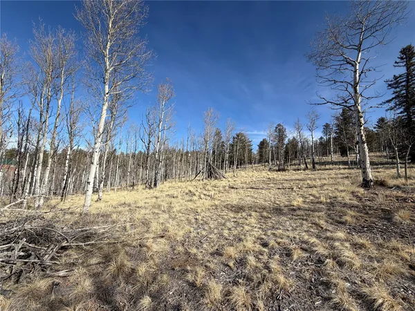 a view of dirt yard with a large tree