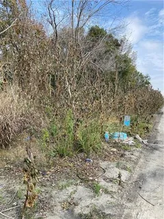 $16,000 | 41374 Curran Boulevard, New Orleans, LA 70128