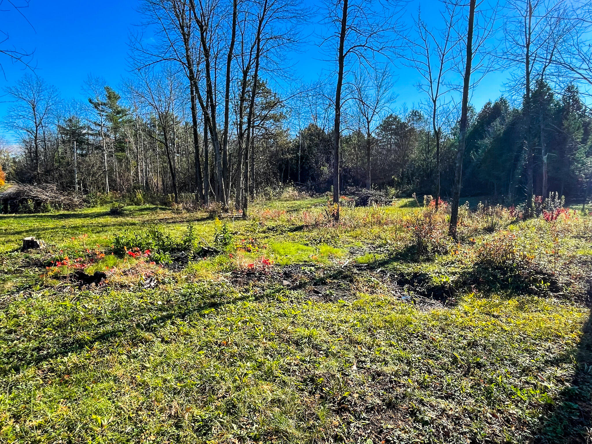 0 Fournier Road West Chazy, NY 12992 - Photo 9 of 10 Gallery Image 9