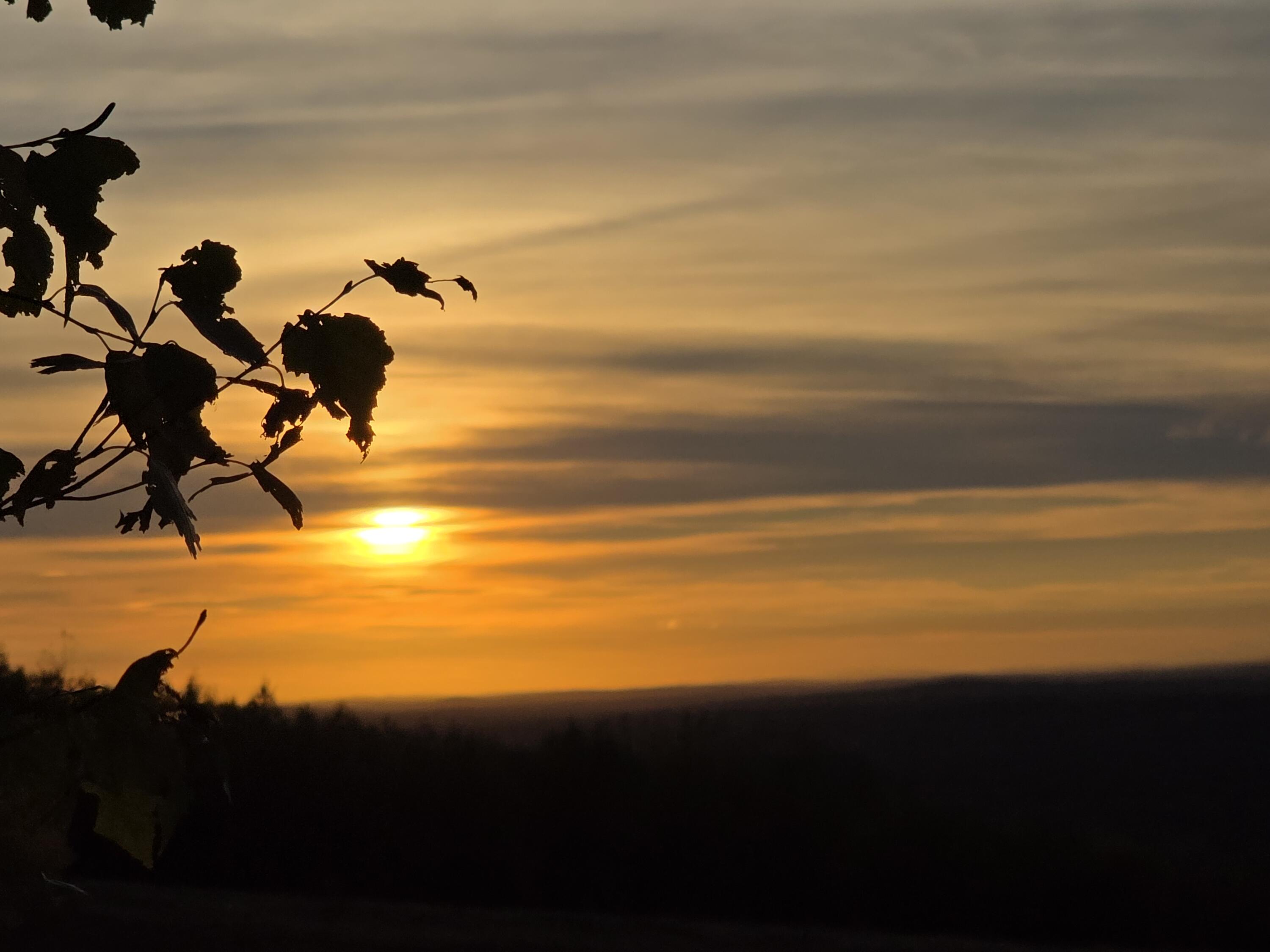 0 Crie Hill Road Liberty, ME 04949 - Photo 17 of 17 20251019_172758