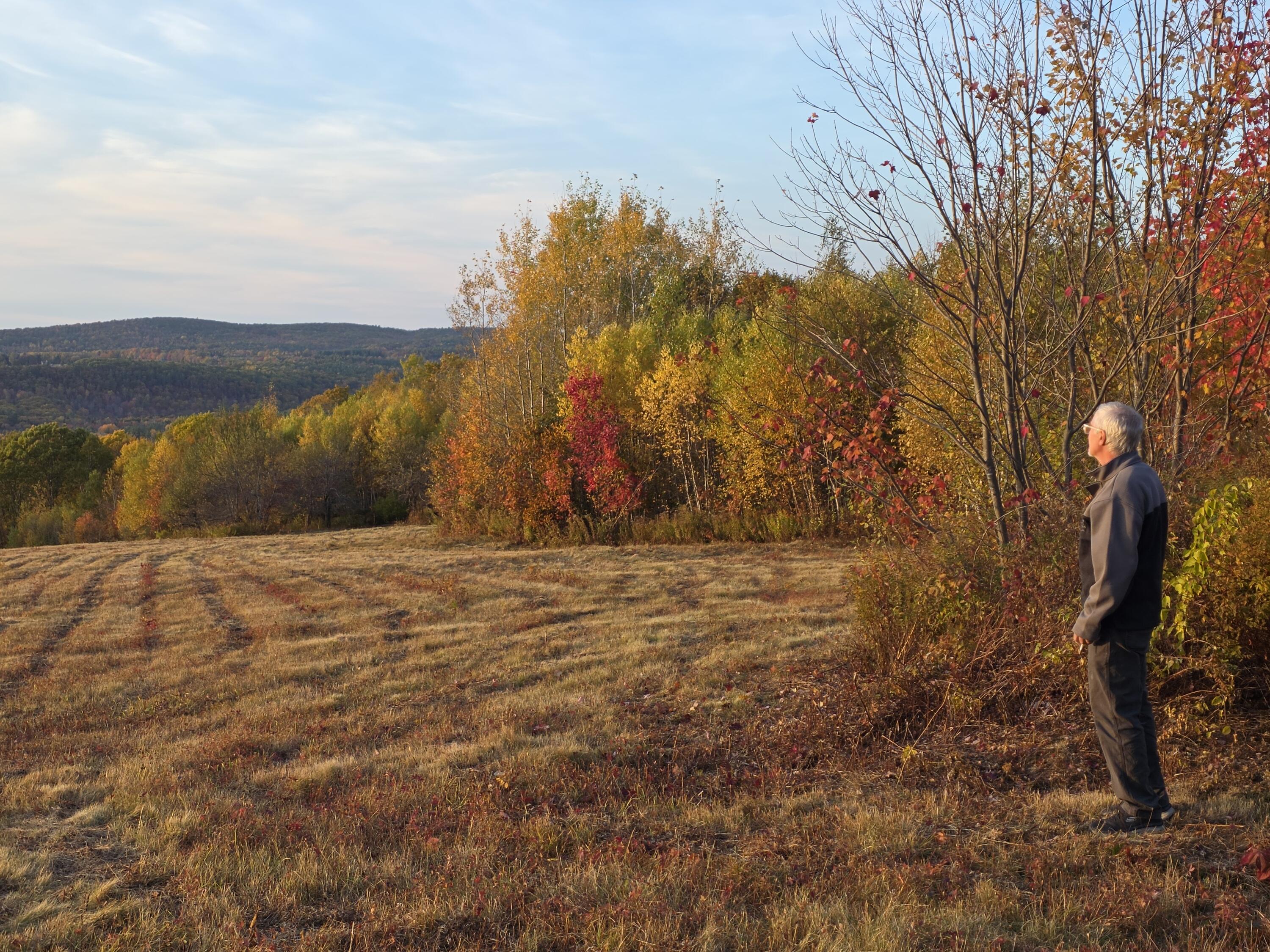 0 Crie Hill Road Liberty, ME 04949 - Photo 6 of 17 20251019_171837