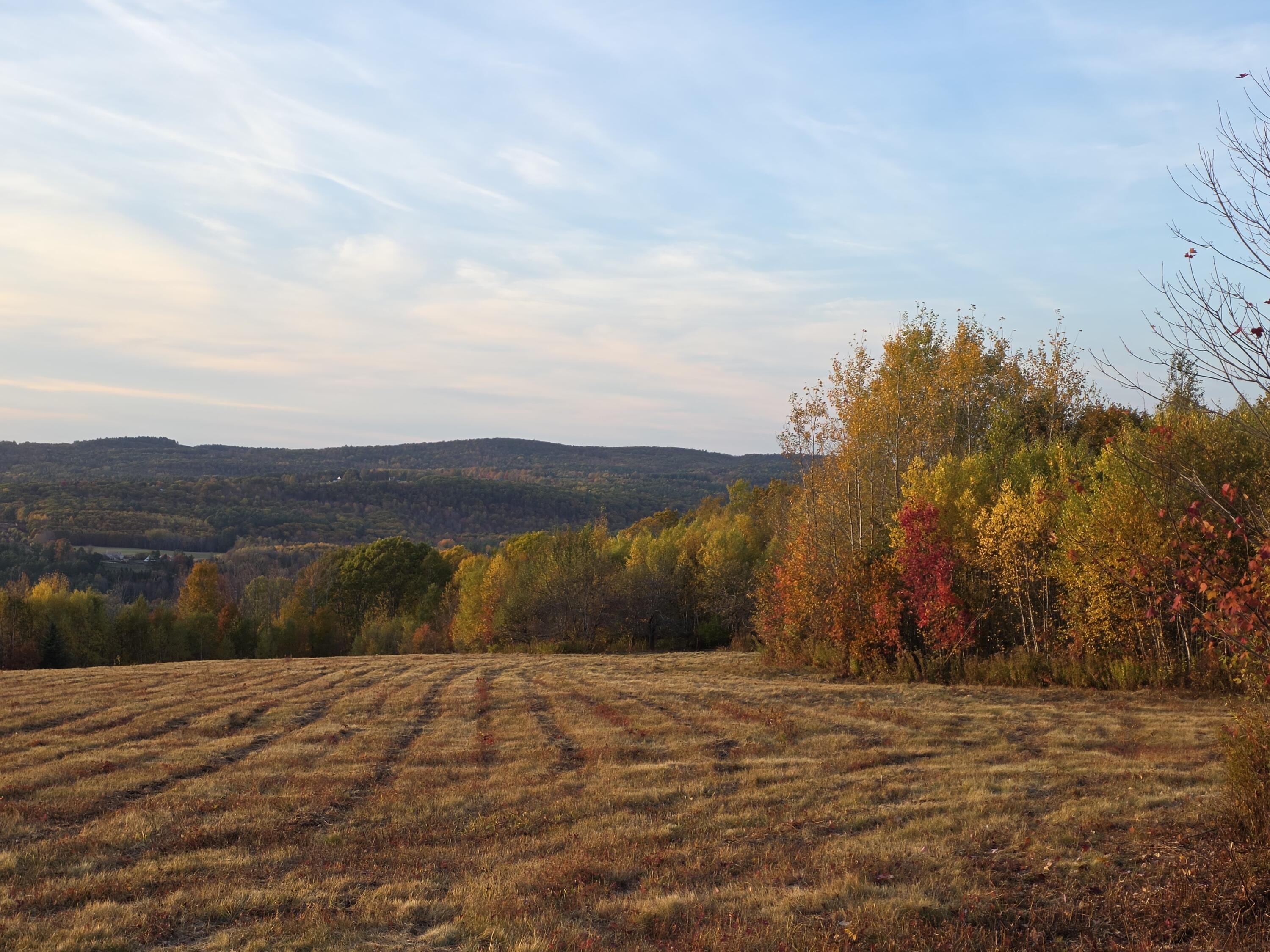 0 Crie Hill Road Liberty, ME 04949 - Photo 7 of 17 20251019_171904