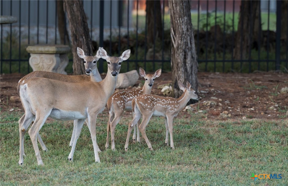 130 Sobrante Road, Unit 112 Belton, TX 76513 - Photo 42 of 48 a view of an chairs and tables in the backyard