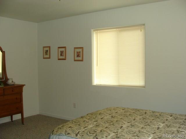 1225 Cove Road Gunnison, CO 81230 - Photo 9 of 15 Gallery Image 9