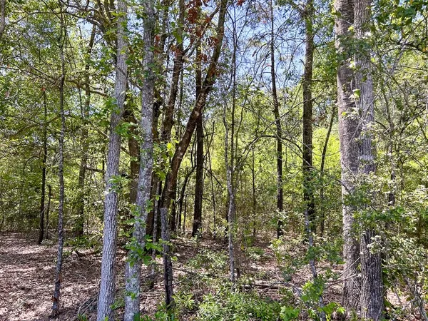 $550,502 | 0 Lane Drive, Lufkin, TX 75904