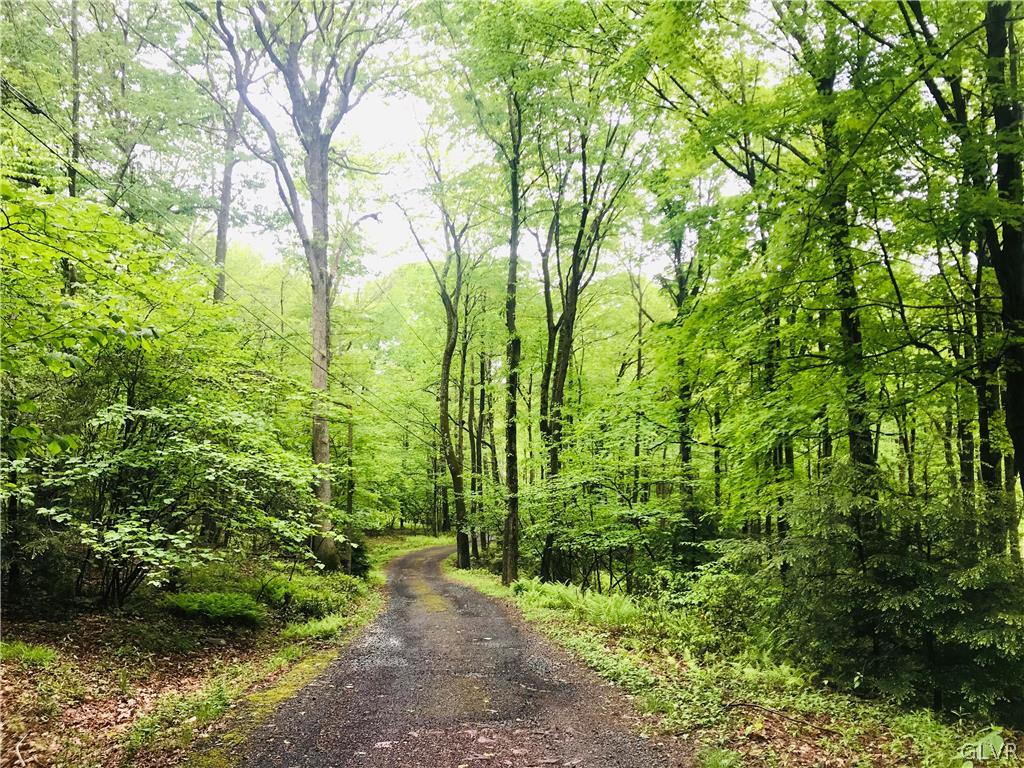 468 Devils Hole Road Cresco, PA 18326 - Photo 9 of 50