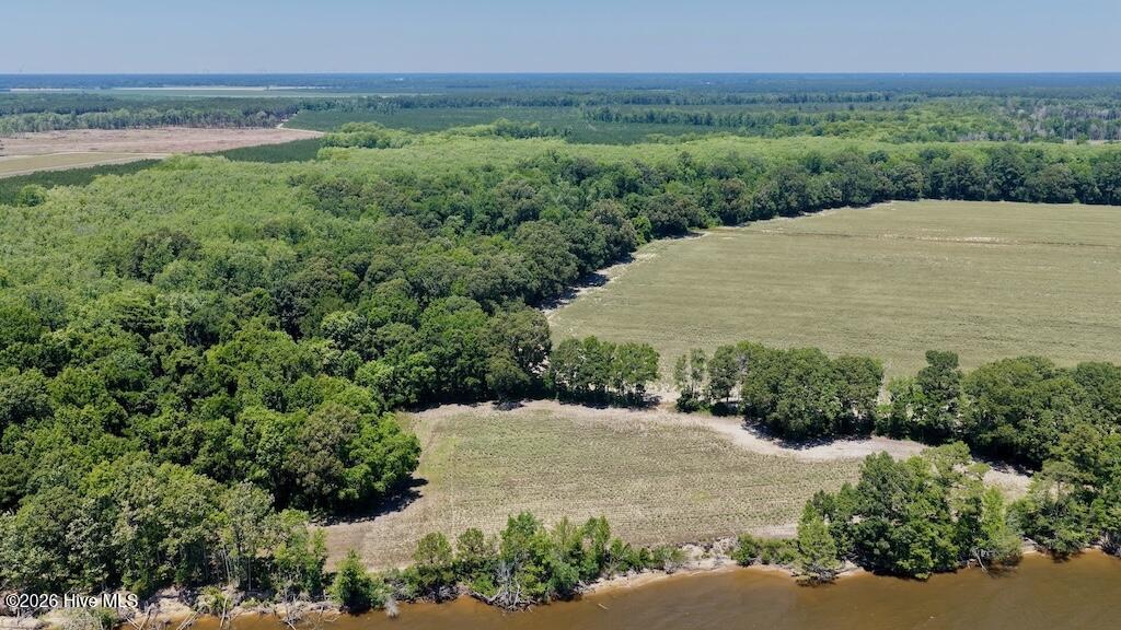 500 Indian Trail Road Edenton, NC 27932 - Photo 3 of 60