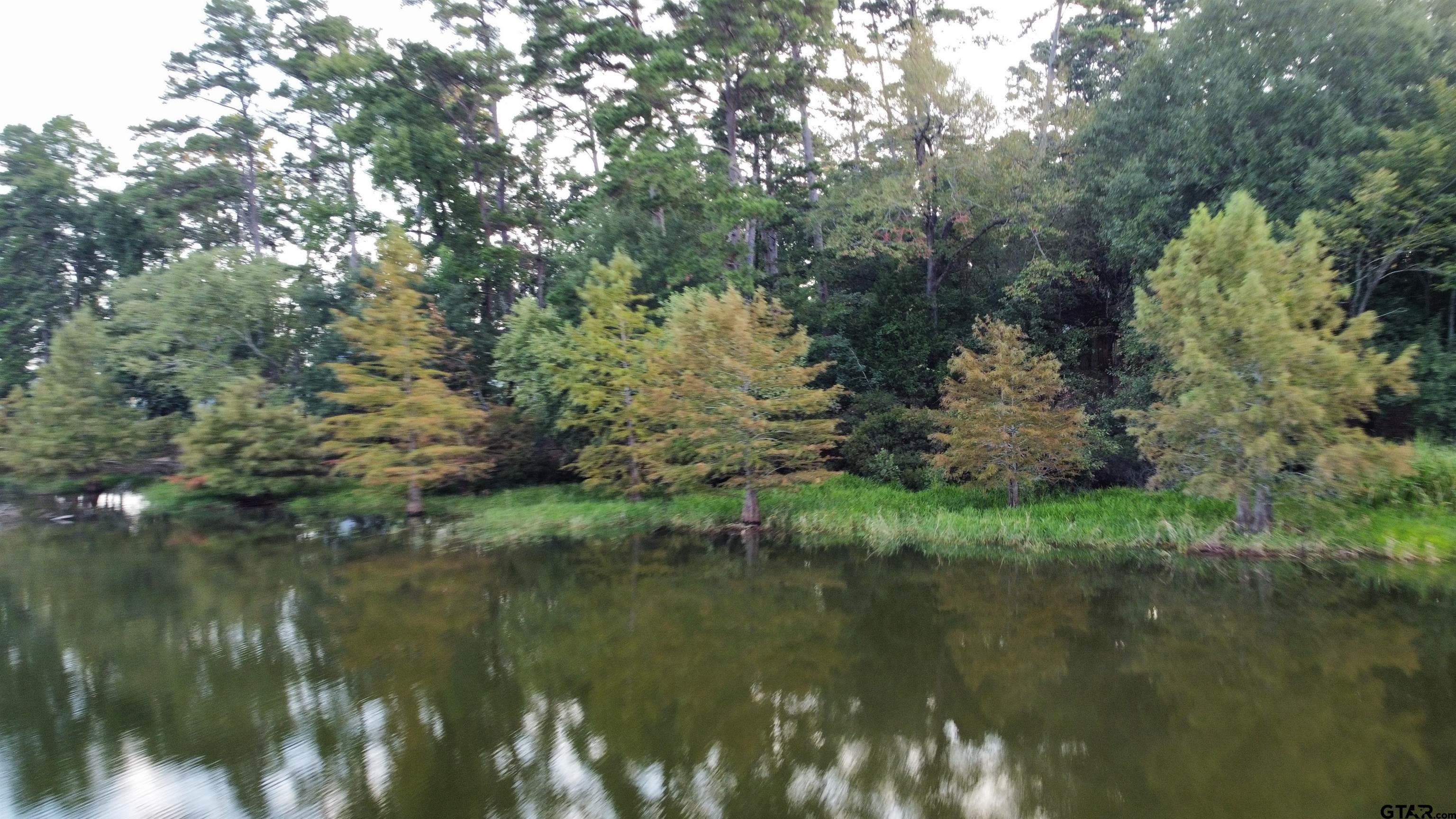 Lot 20 Eastside Road Tyler, TX 75707 - Photo 24 of 28