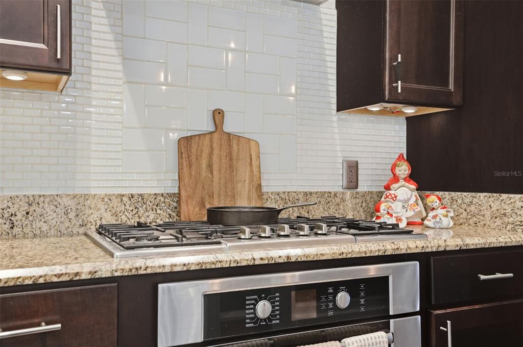7037 County Road 625 Bushnell, FL 33513 - Photo 25 of 99 a kitchen with granite countertop a stove a sink and a counter