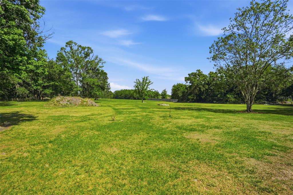 7037 County Road 625 Bushnell, FL 33513 - Photo 92 of 99 a view of a green field with trees in the background