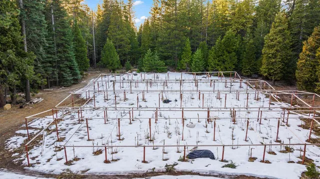 $224,999 | 16277 Ophir Silver Road, Nevada City, CA 95959