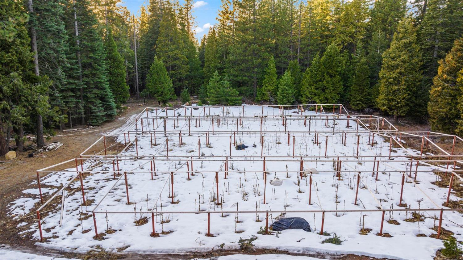 16277 Ophir Silver Road Nevada City, CA 95959 - Photo 23 of 51