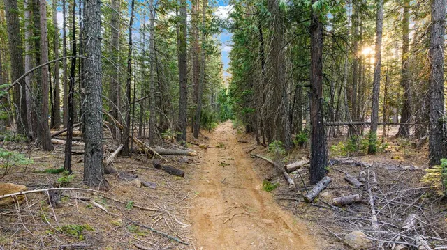 $224,999 | 16277 Ophir Silver Road, Nevada City, CA 95959