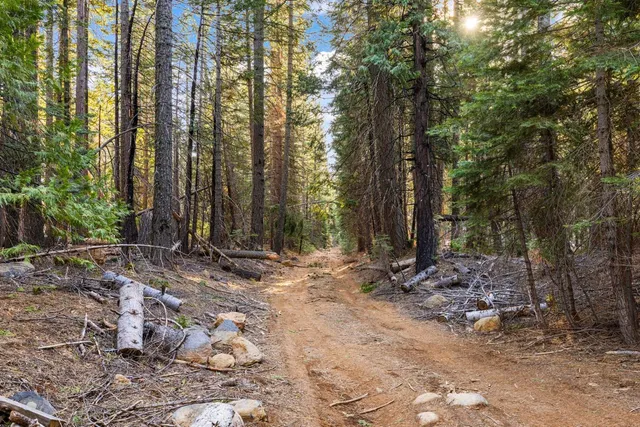 $224,999 | 16277 Ophir Silver Road, Nevada City, CA 95959