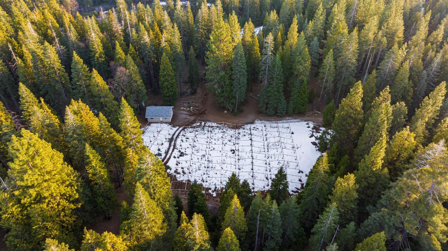 16277 Ophir Silver Road Nevada City, CA 95959 - Photo 48 of 51