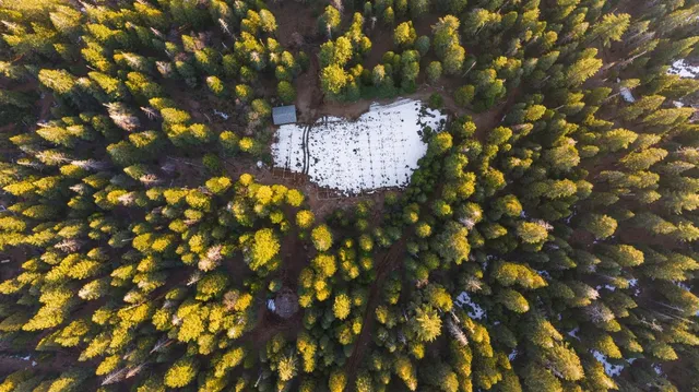 $224,999 | 16277 Ophir Silver Road, Nevada City, CA 95959